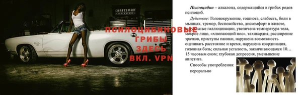 альфа пвп Корсаков