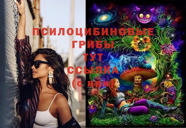 МДМА Козловка