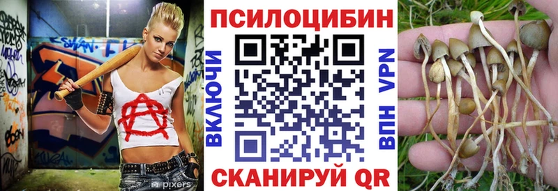 Галлюциногенные грибы прущие грибы  Костомукша 